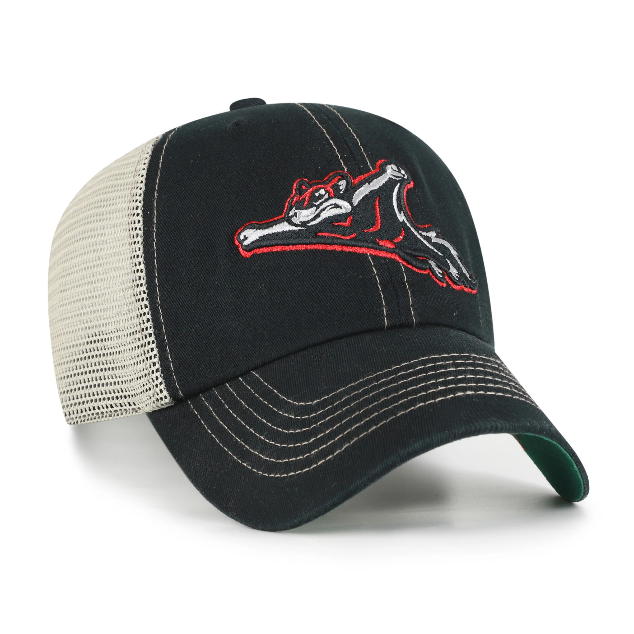 Richmond Flying Squirrels '47 Alt. Trawler Clean Up - Image 2