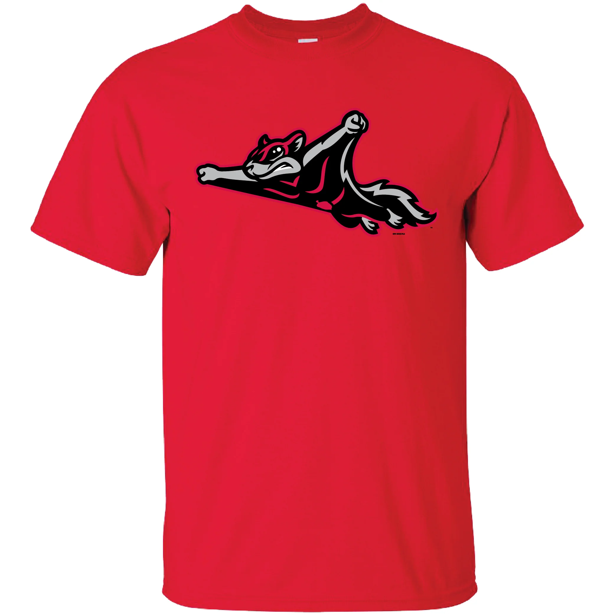 Richmond Flying Squirrels Alternate Logo Tee - Image 2